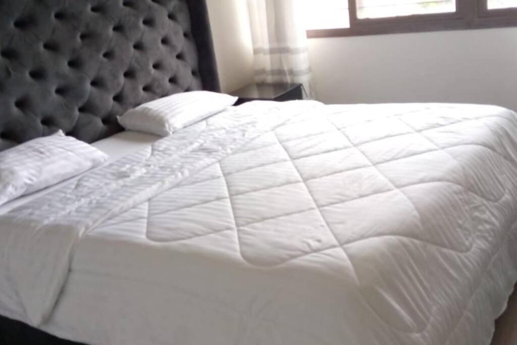Spacious Zamtel Flat ルサカ エクステリア 写真